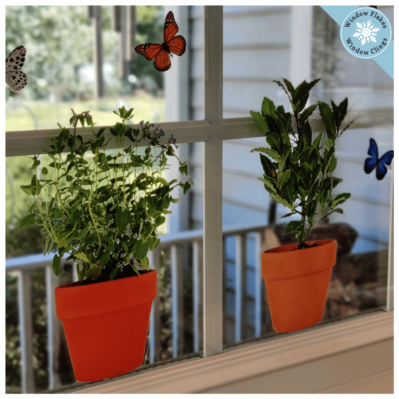 Window Flakes Illustrated Hanging Plants Window Clings, Large Multicolor Vinyl Decals