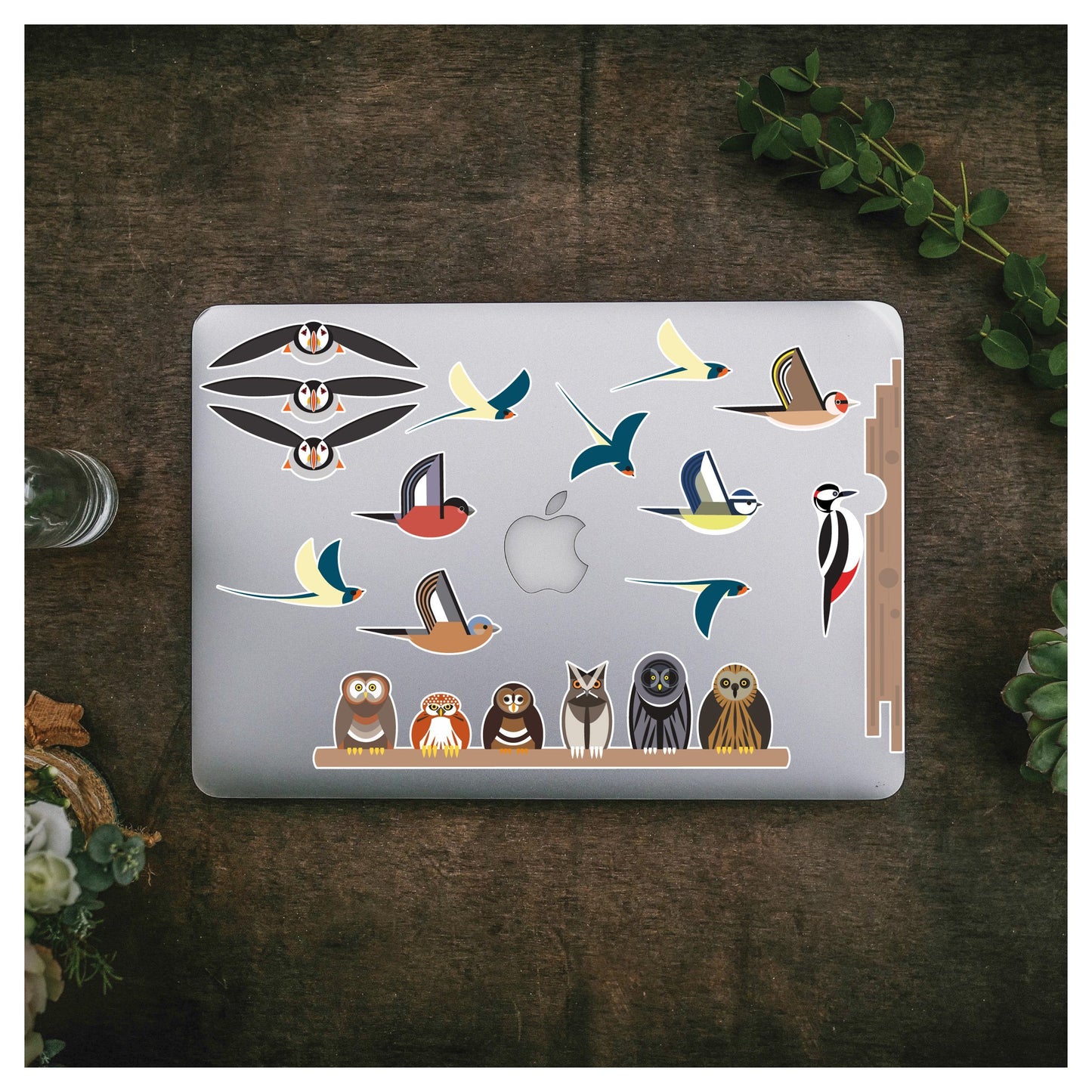 Variety of Birds Laptop Stickers - Stickers for Laptops